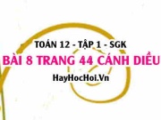 Bài 8 trang 44 Toán 12 tập 1 Cánh Diều